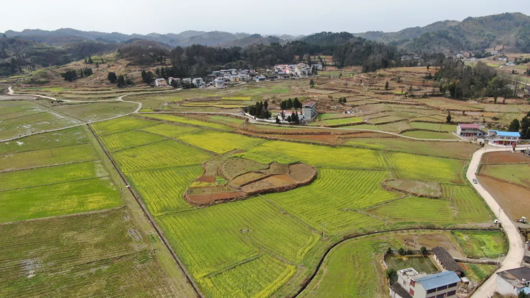 全发国际(中国)有限公司官网